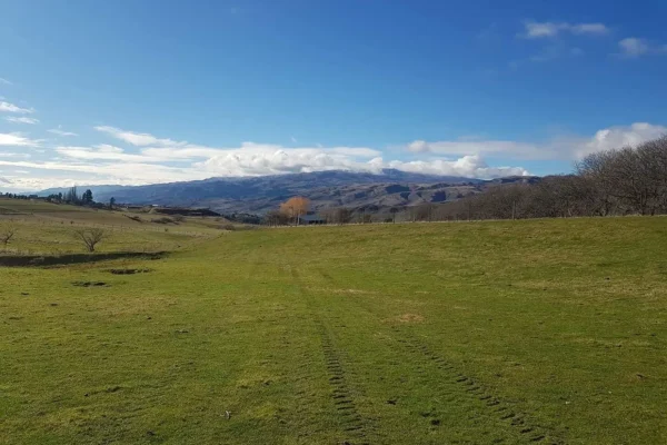 Wilton Joubert Consulting Engineers – Structural, Civil & Geotechnical Experts in Auckland